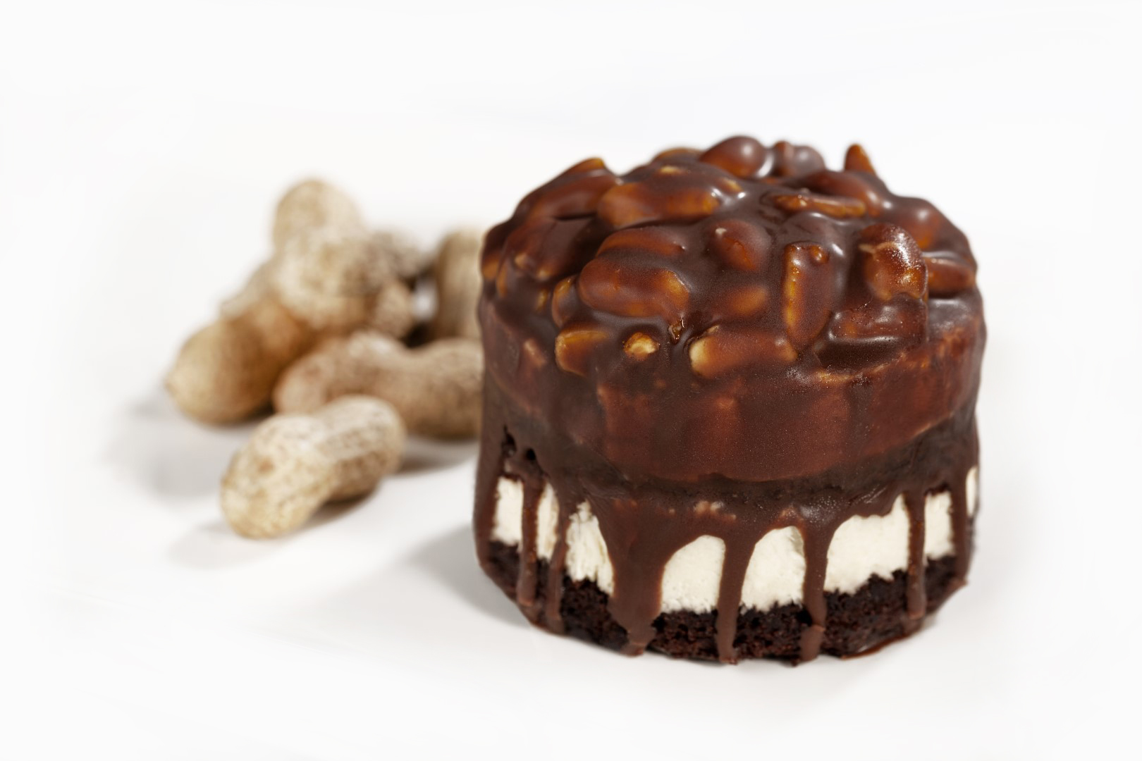 onelife_cake_-19.jpg